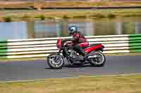 Vintage-motorcycle-club;eventdigitalimages;mallory-park;mallory-park-trackday-photographs;no-limits-trackdays;peter-wileman-photography;trackday-digital-images;trackday-photos;vmcc-festival-1000-bikes-photographs